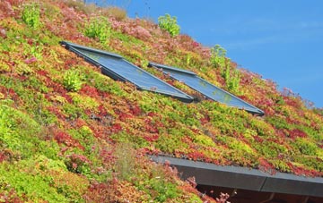 Foxham living roof systems