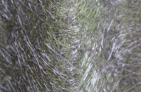 Foxham fibreglass roof work